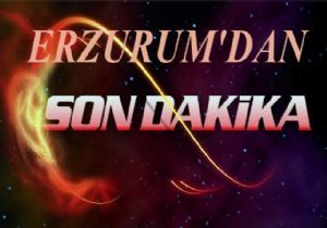 Erzurum da kar tatili